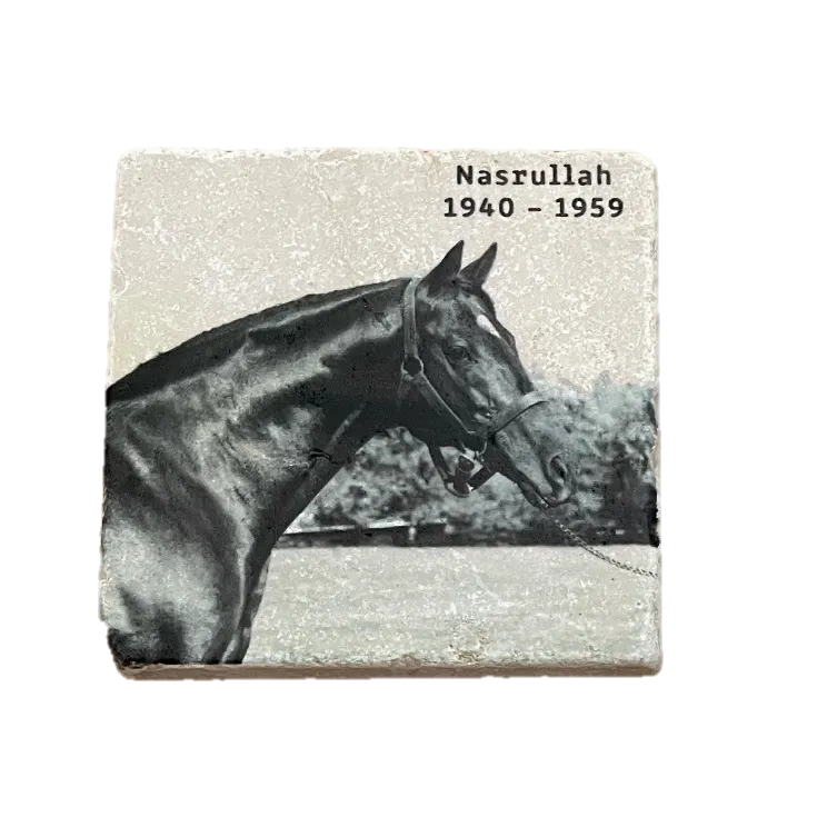 Historical Stallions Marble Coaster Set