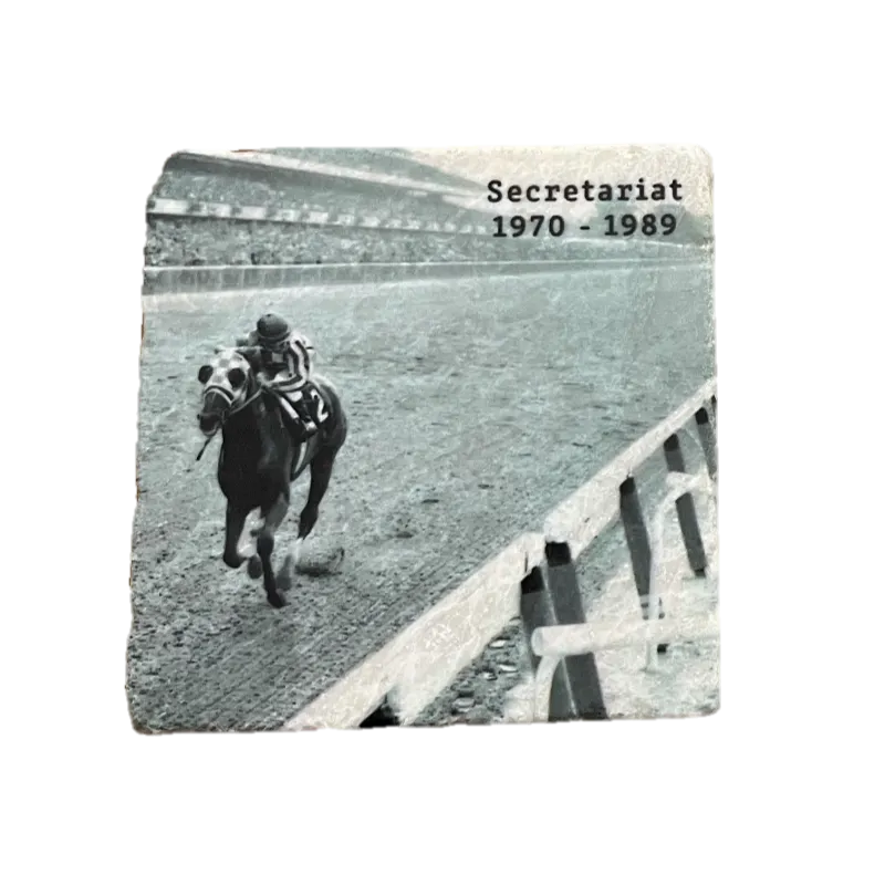 Historical Stallions Marble Coaster Set