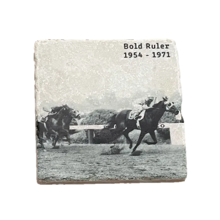Historical Stallions Marble Coaster Set