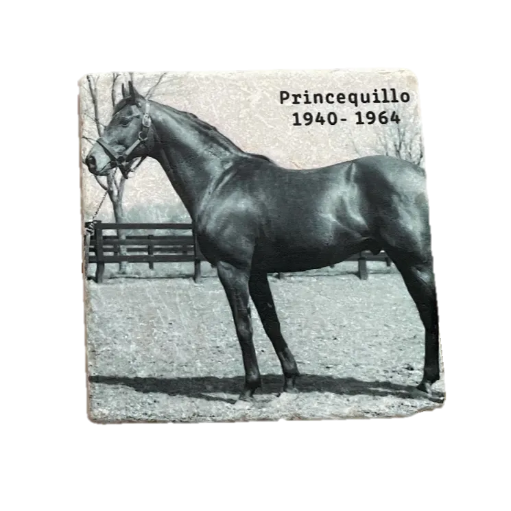 Historical Stallions Marble Coaster Set